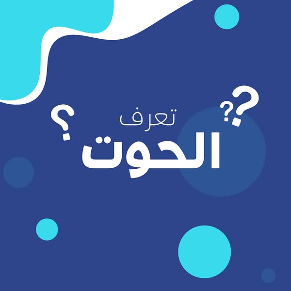 خدمة Whale للإنترنت